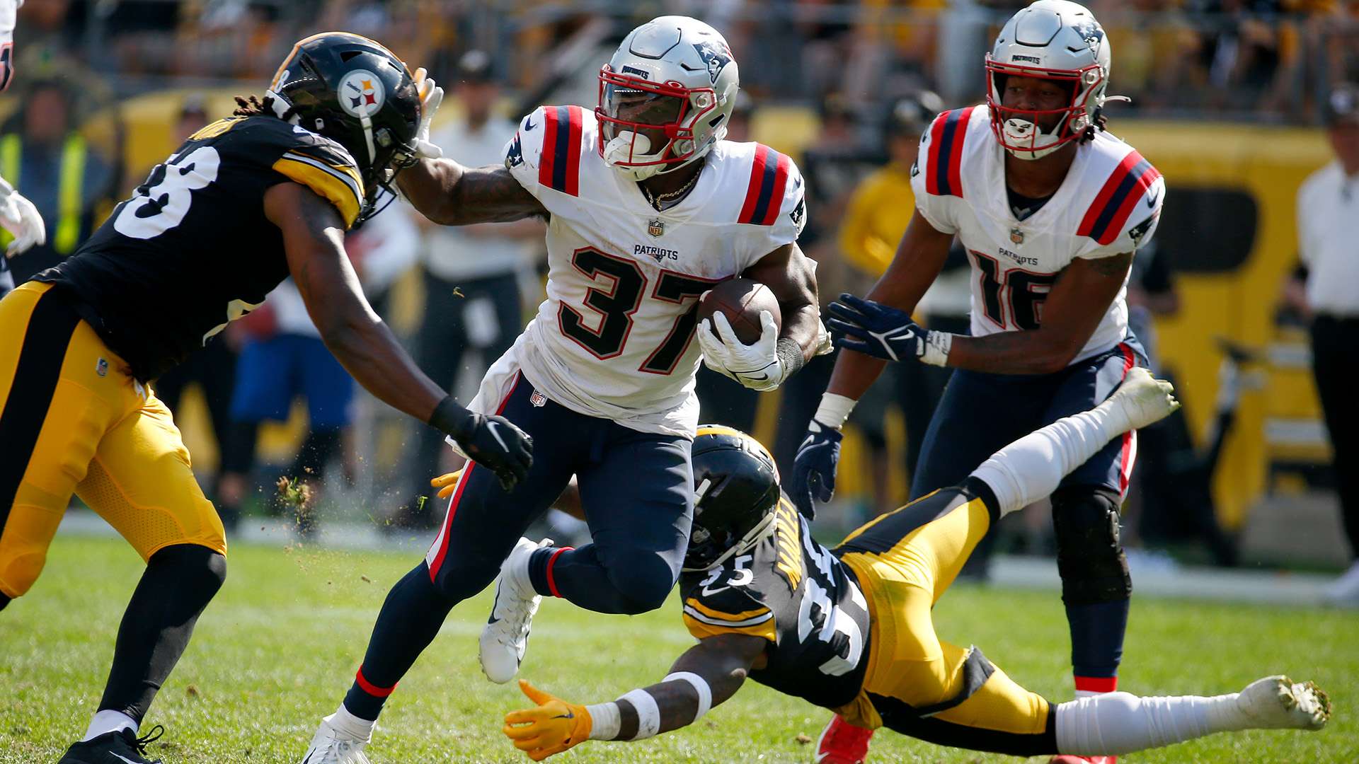 穩定性會產 穩定性會產